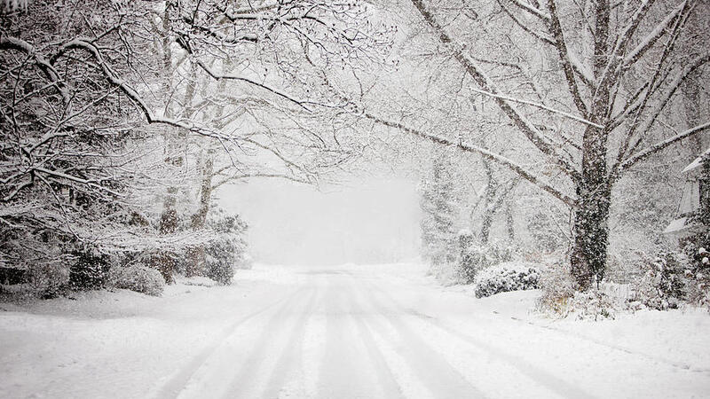 Winter